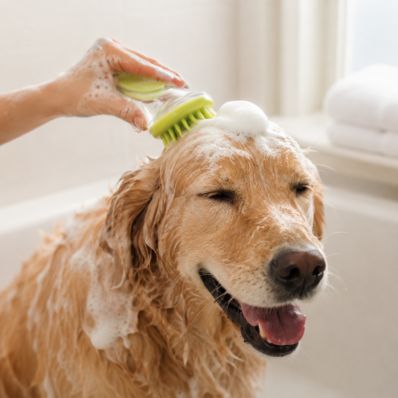 Shampoo-Dispensing Grooming Bath Brush